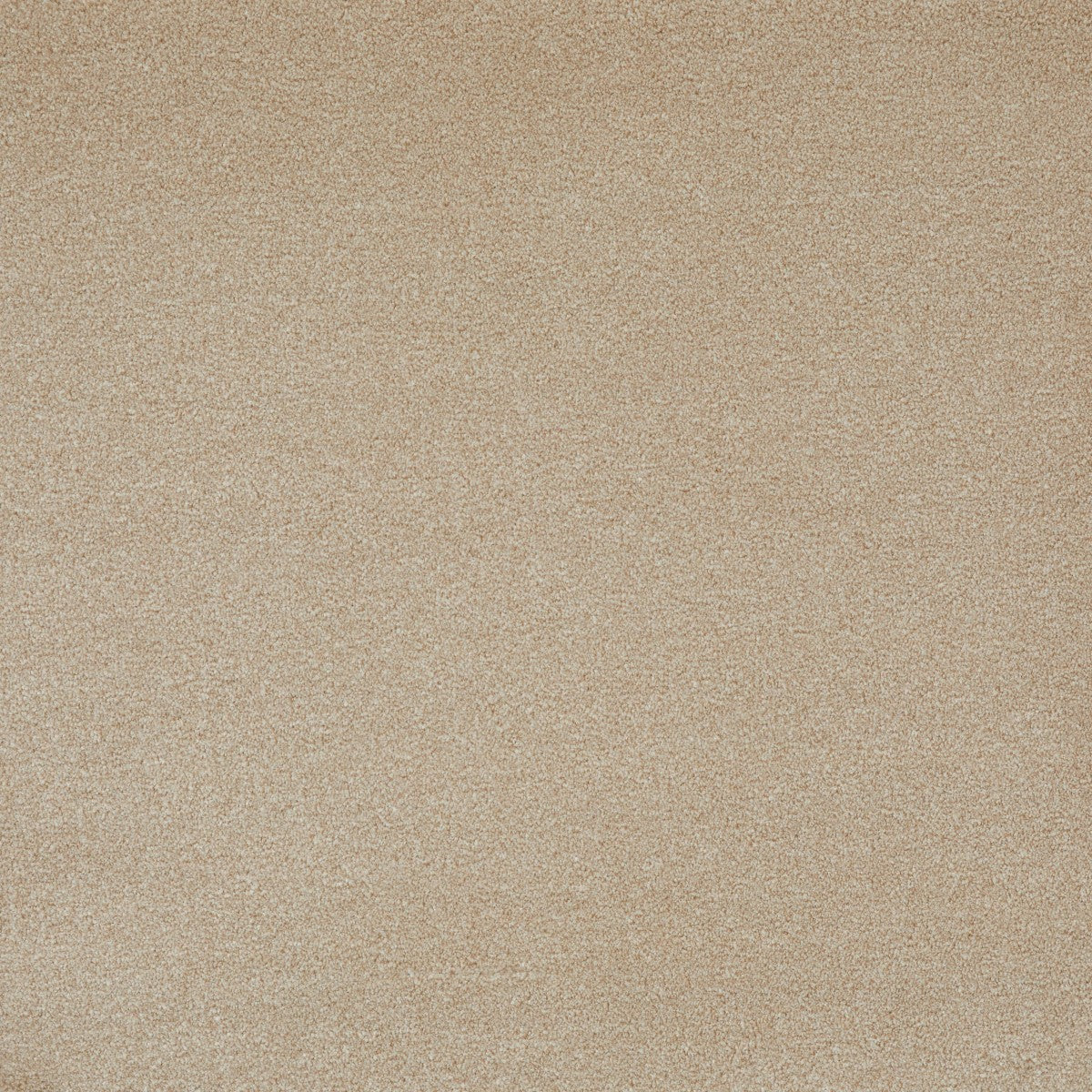 DESIRE VÆG TIL VÆG TÆPPE BEIGE / 268 KR. M2