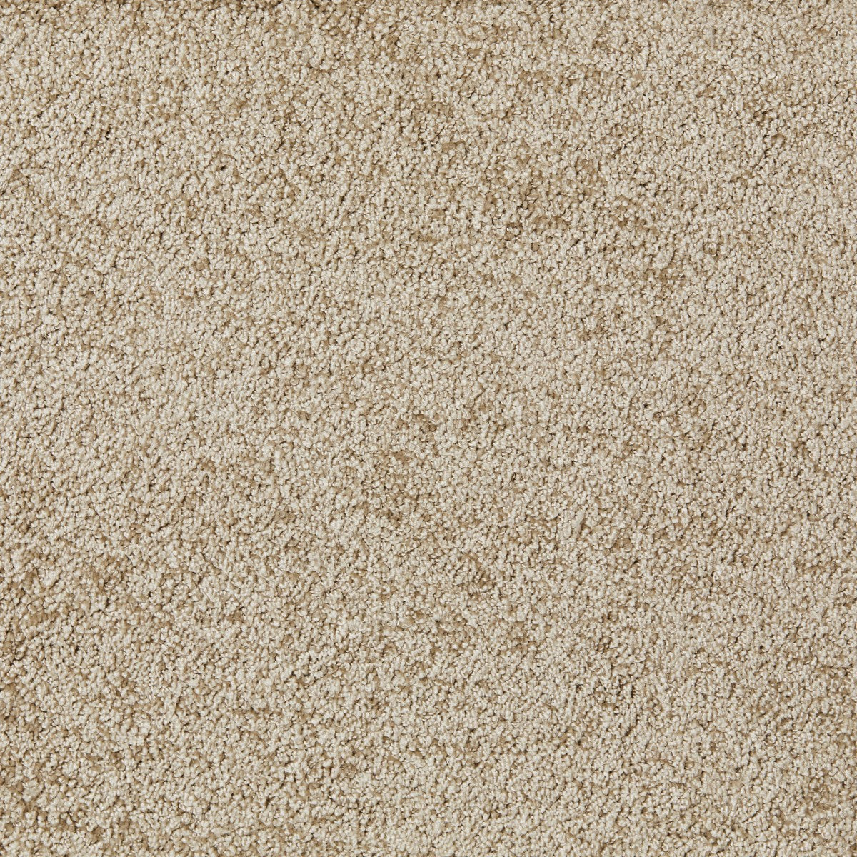 MELBOURNE VÆG TIL VÆG TÆPPE BEIGE / 179 KR. M2