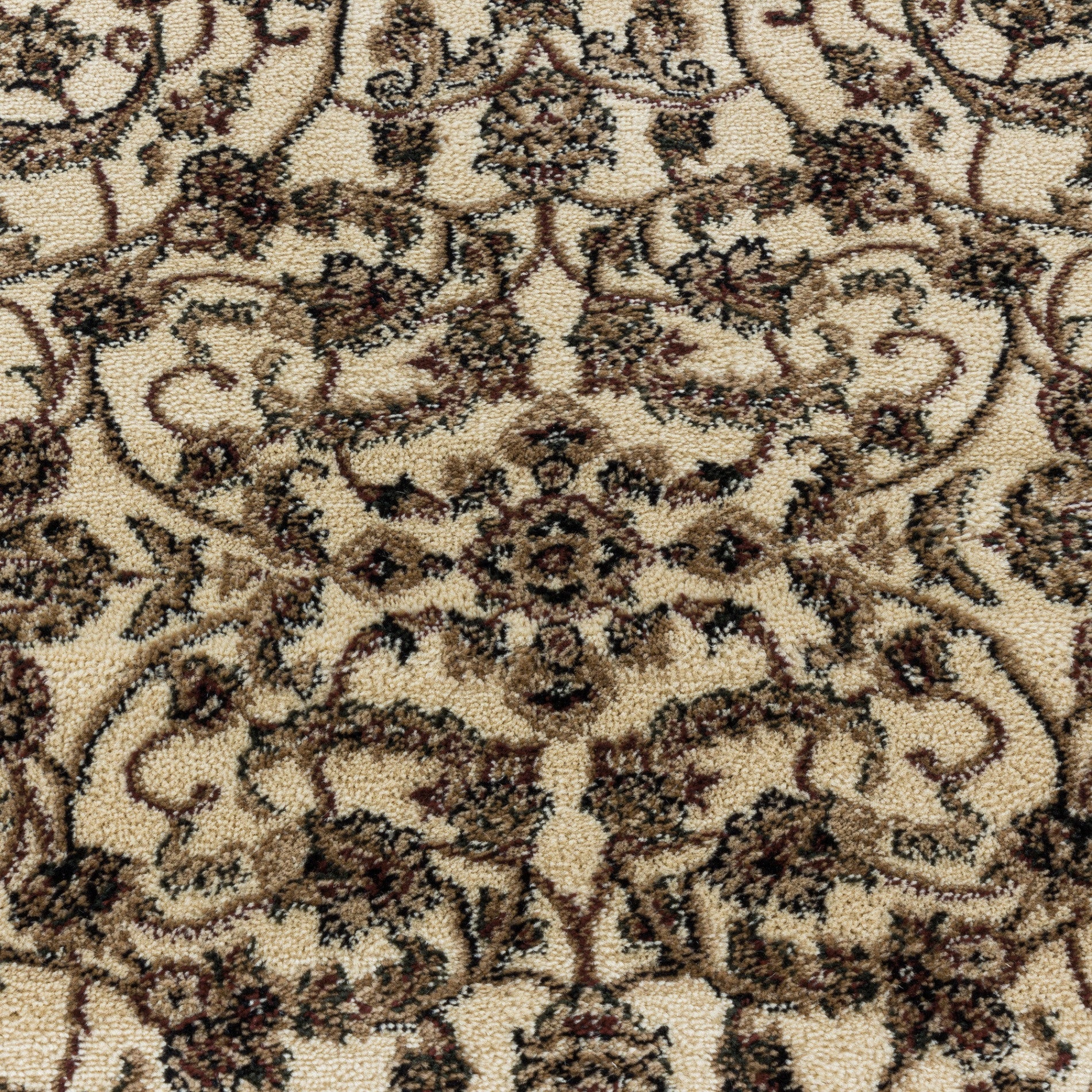 KASHMIR 2604 CREME
