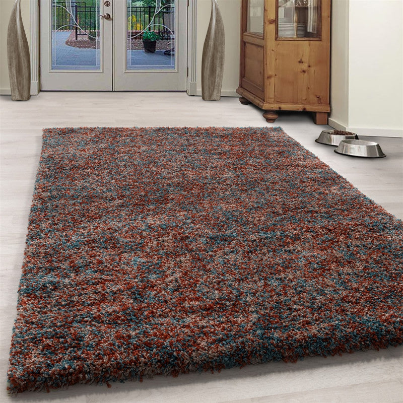 NYD SHAGGY, 4500 TERRA